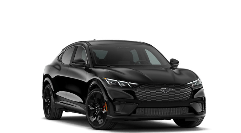 Mustang Mach-E® vehicle